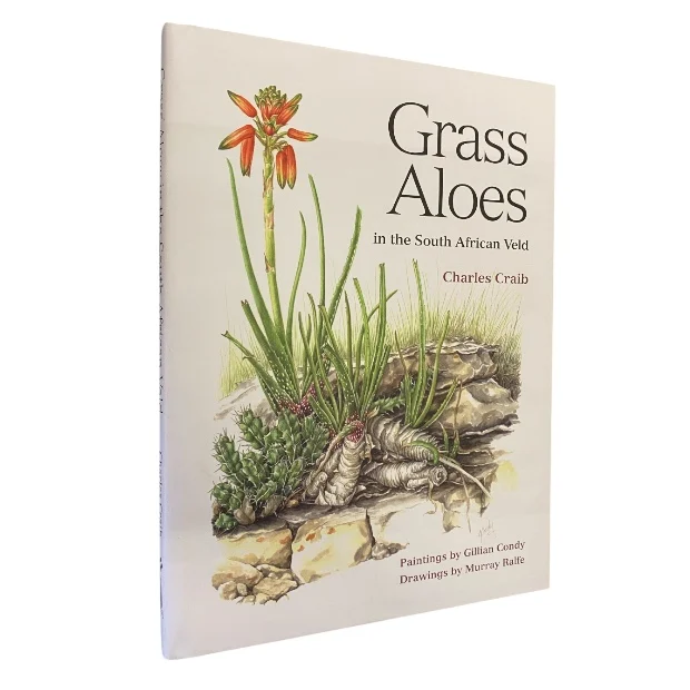In Grass Aloes in the South African Veld
