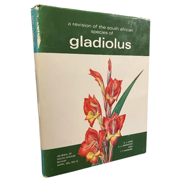 Gladiolus
