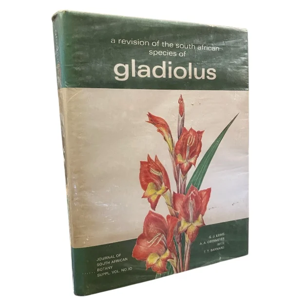 Gladiolus