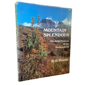 Mountain Splendour
