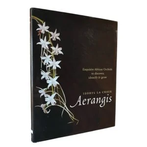 Aerangis