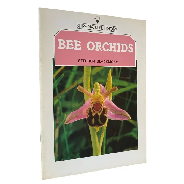Bee Orchids
