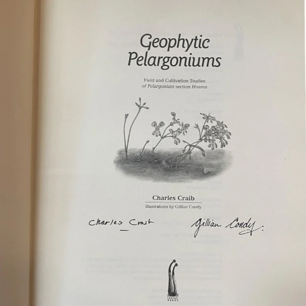 Geophytic Pelargoniums 2