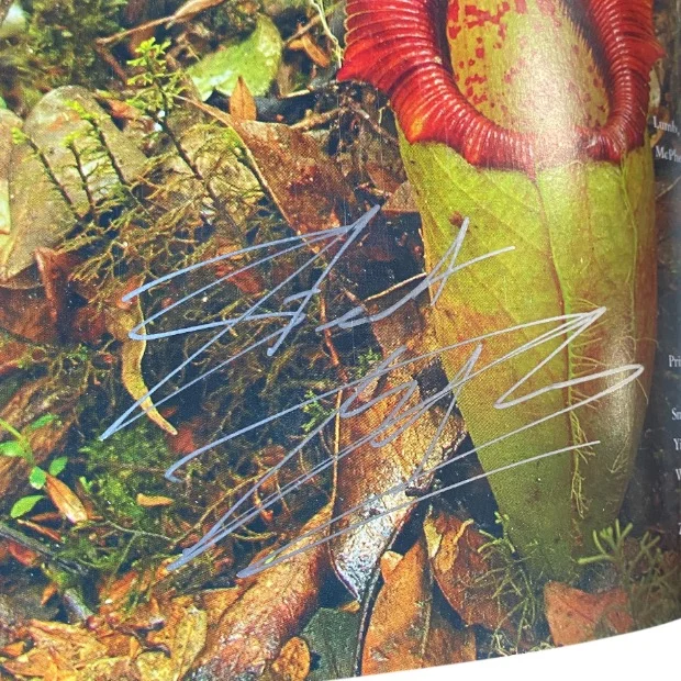 Field Guide To The Pitcher Plants Of Sumatra And Java 2