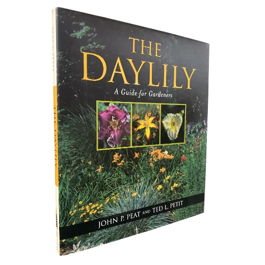 The Daylily