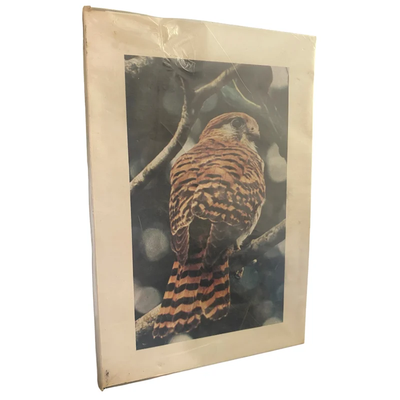 Oiseaux de l’Île Maurice