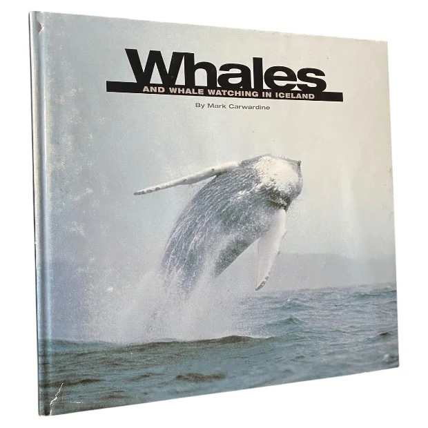 Whales and Whale Watching