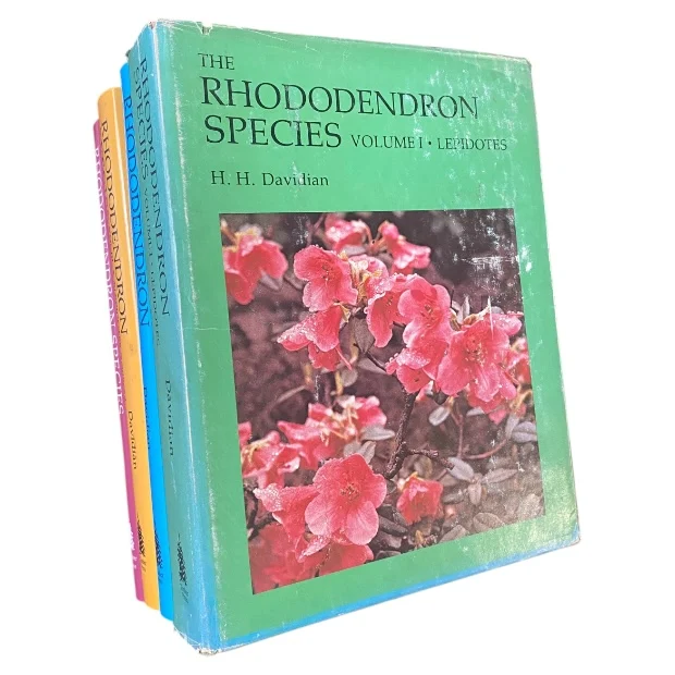 Rhododendron Species