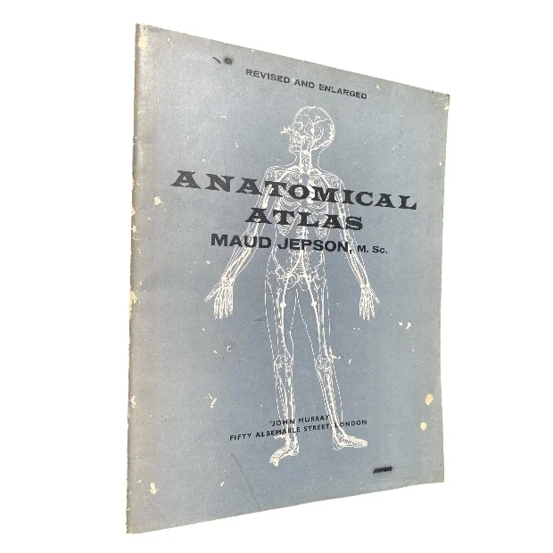 Anatomical Atlas