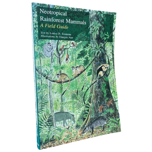 Neotropical Rainforest Animals
