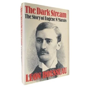 The Dark Stream