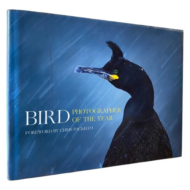 Bird Photographer Of The Year