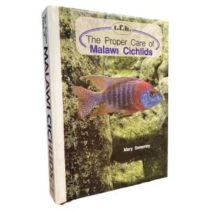 The Proper Care of Malawi Cichlids