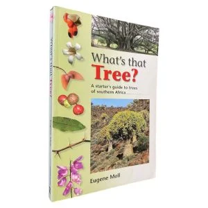 That Tree