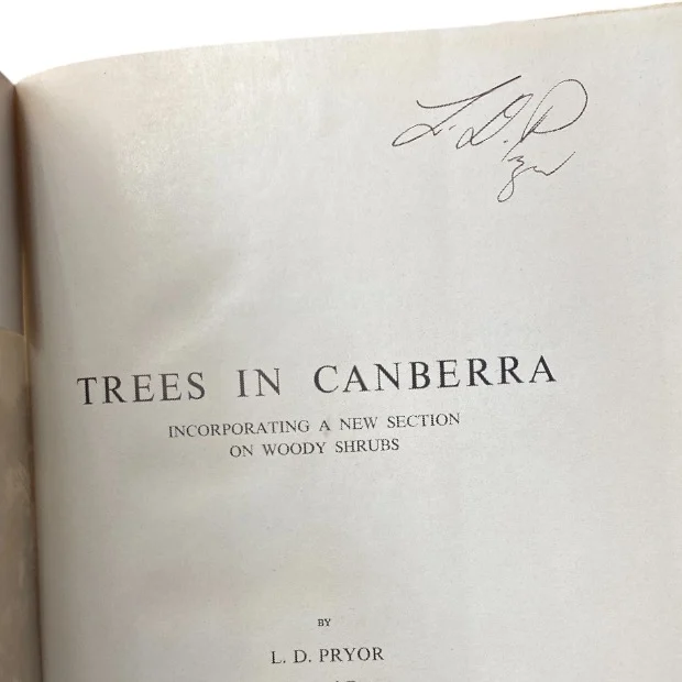 Trees in Canberra (Signed) - Image 2