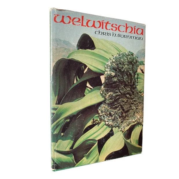 Welwitschia