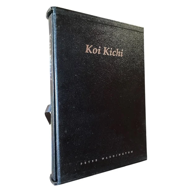 Koi Kichi