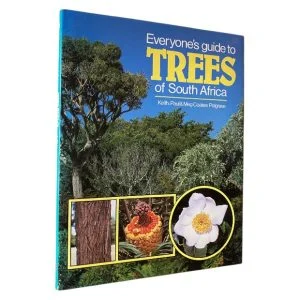 Everyone’s Guide to Trees