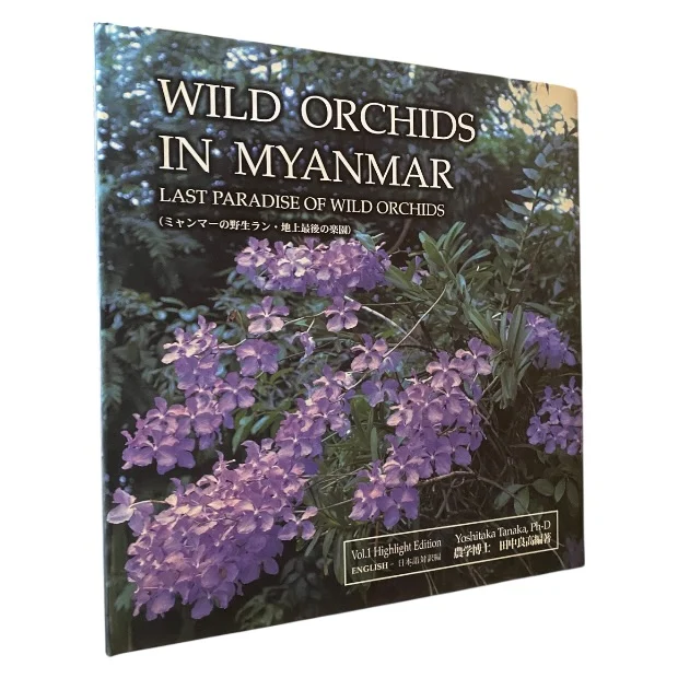 Wild Orchids in Myanmar