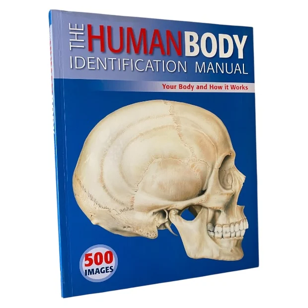 Human Body Identification