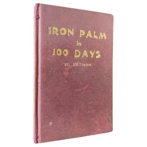 Iron Palm in 100 Days