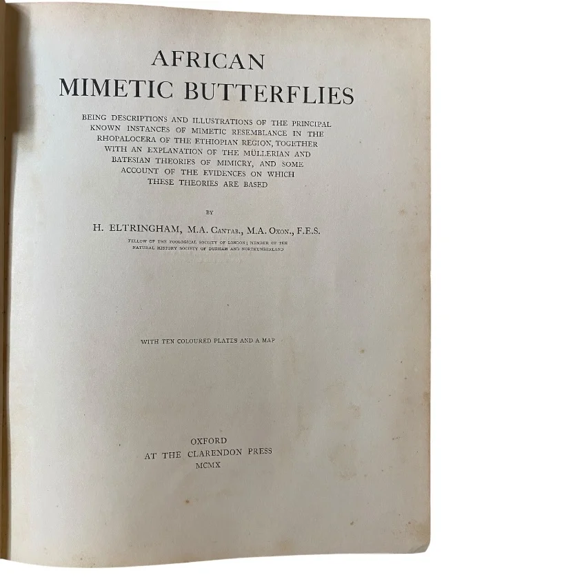 African Mimetic Butterflies