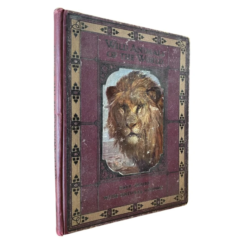 Wild Animals of the World
