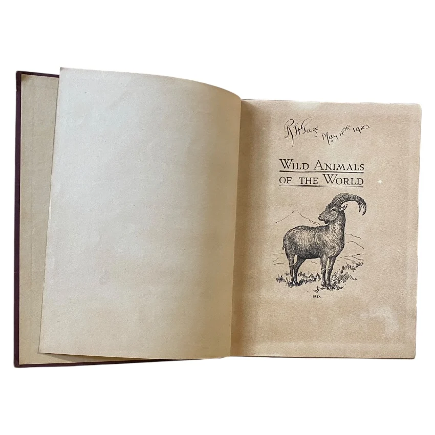 Wild Animals of the World
