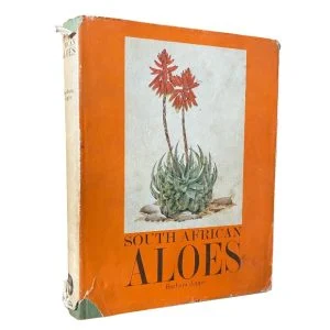 South African Aloes