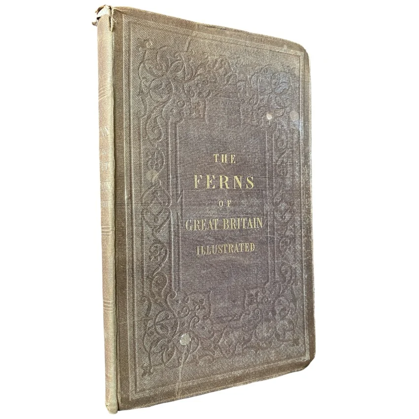 The Ferns of Great Britain Illustrated