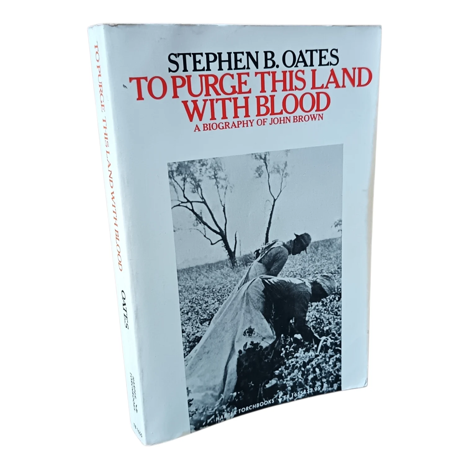 To Purge This Land With Blood - A Biography of John Brown