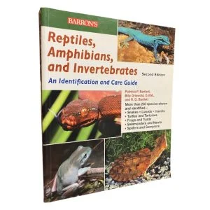 Reptiles, Amphibians, and Invertebrates