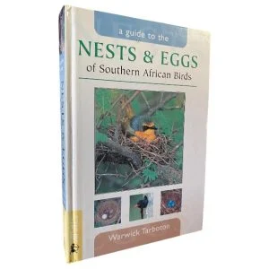 Nests & Eggs
