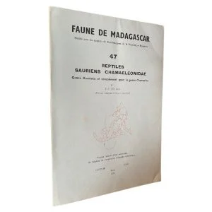 Faune De Madagascar