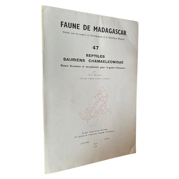 Faune De Madagascar