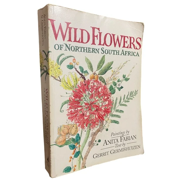 Wild Flowers of Northern South Africa