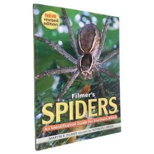 Filmer’s Spiders