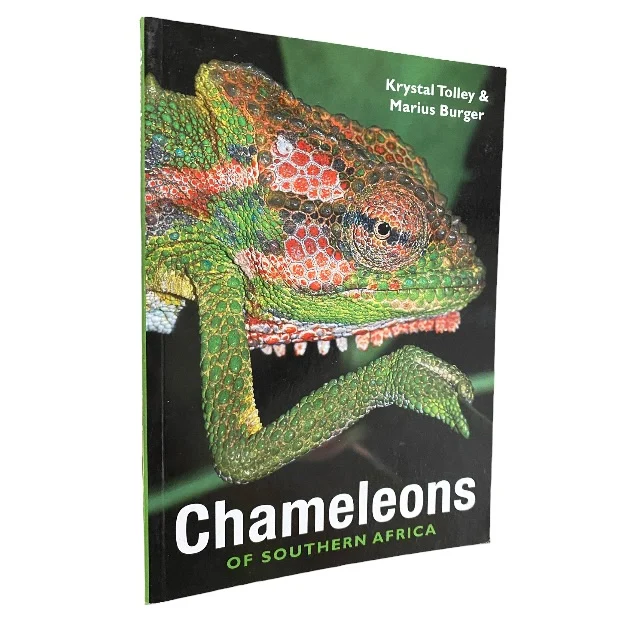 Chameleons of Southern Africa