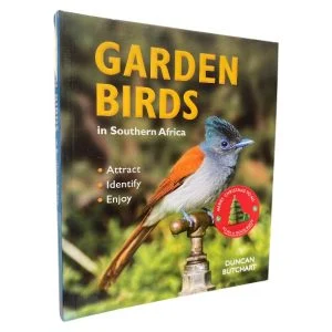 Garden Birds in Southern Africa