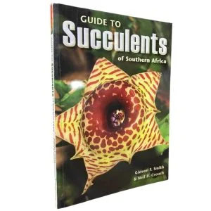 Guide to Succulents