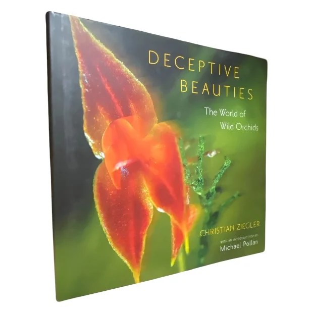 Deceptive Beauties