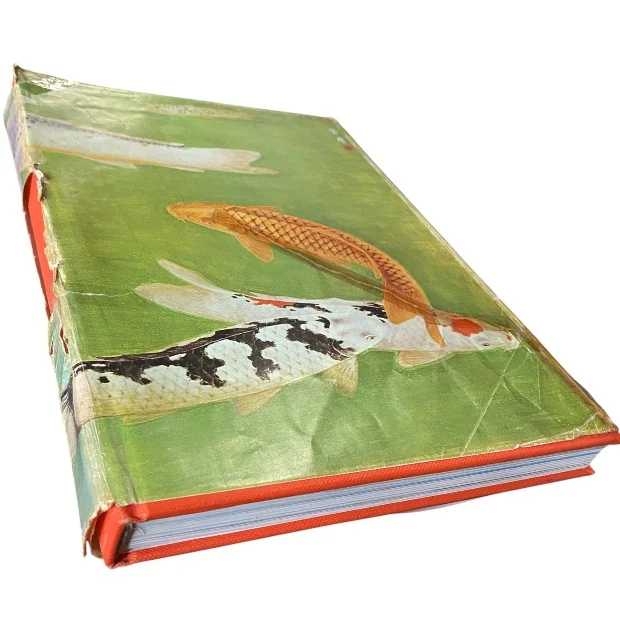 Nishikigoi / Koi Carp (錦鯉) - Image 2