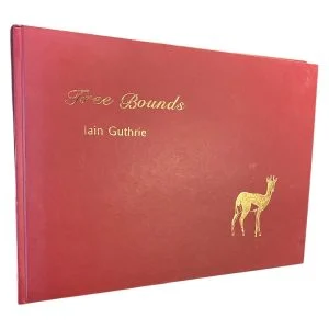 Free Bounds by Iain Guthrie