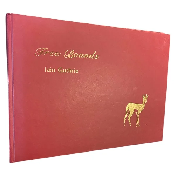 Free Bounds by Iain Guthrie