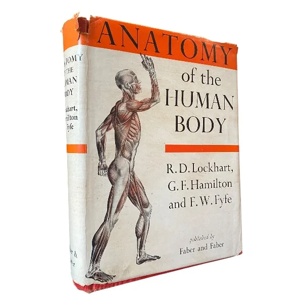 Anatomy of the Human Body