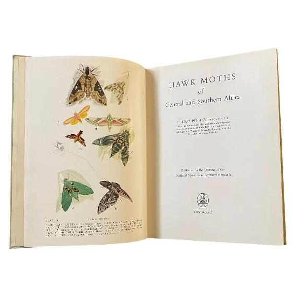 Hawk Moths
