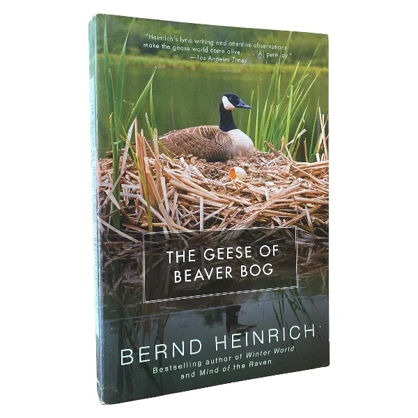 The Geese of Beaver Bog