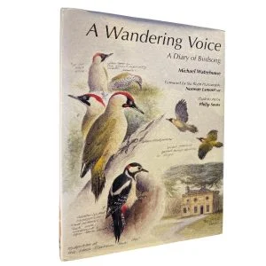 A Wandering Voice