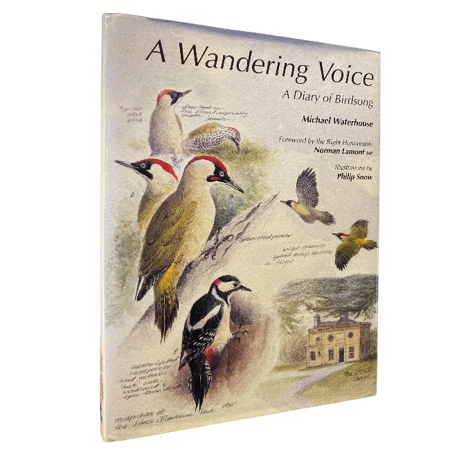A Wandering Voice