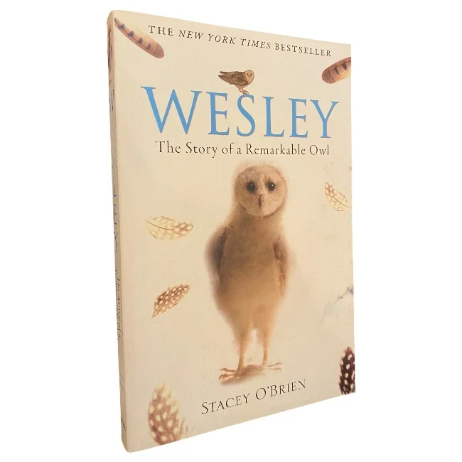 Wesley
